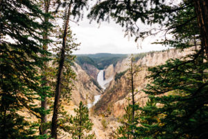 artists point in grand canyon of yellowstone